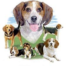 beagle_story_a