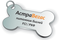 Питомник биглей astravegasbanner